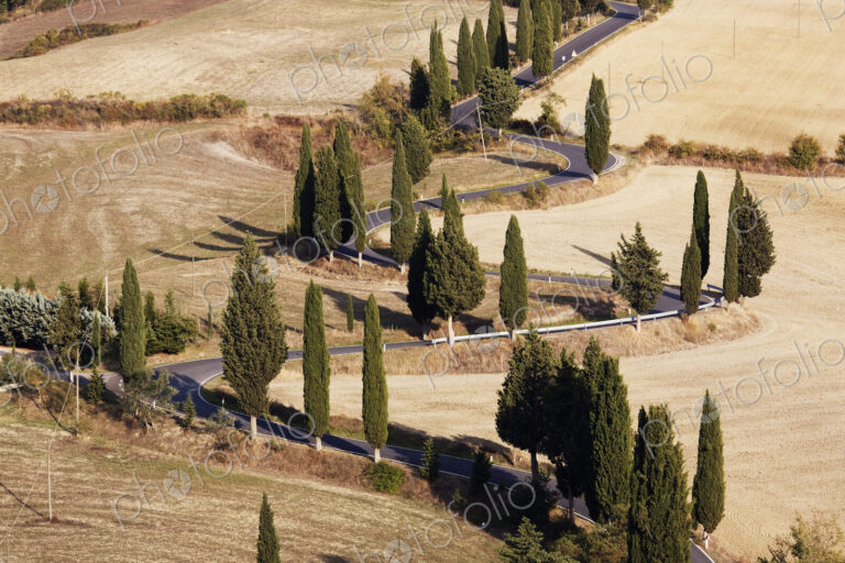 Winding Road