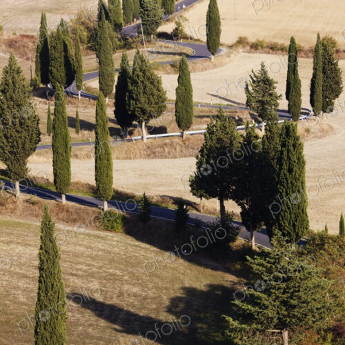 Winding Road