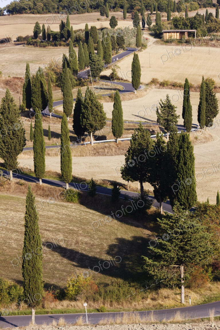 Winding Road