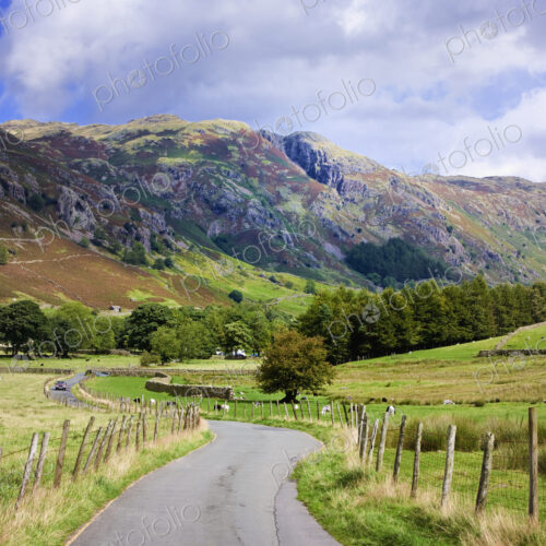 Winding Road, Langdale Valley, English Lake District, UK