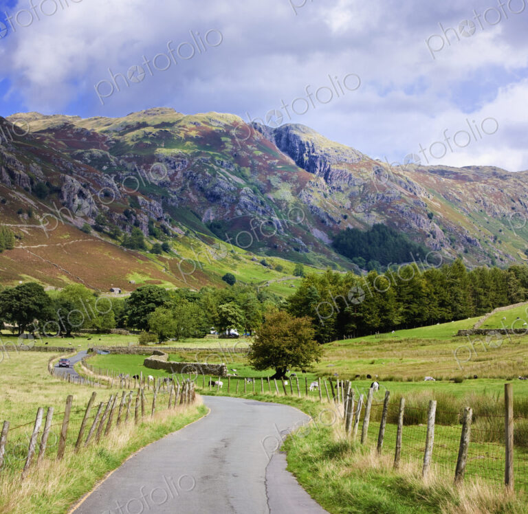 Winding Road, Langdale Valley, English Lake District, UK