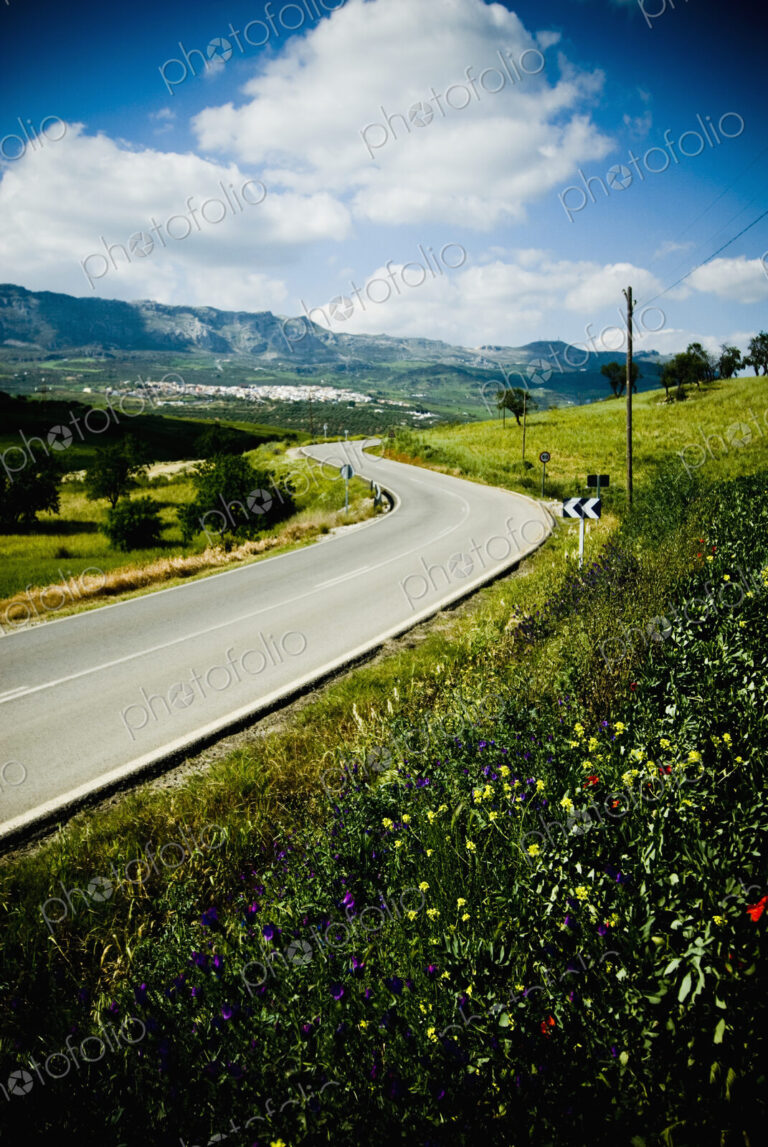 Winding Road Through Rural Landscape