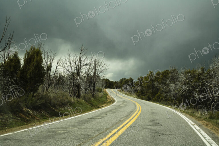 Winding Two Lane Road