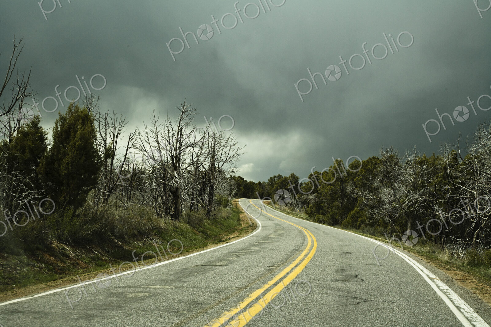 Winding Two Lane Road
