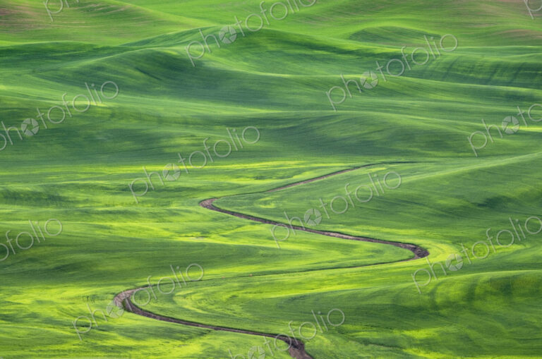 Winding irrigation ditch through rolling hills in rural landscape