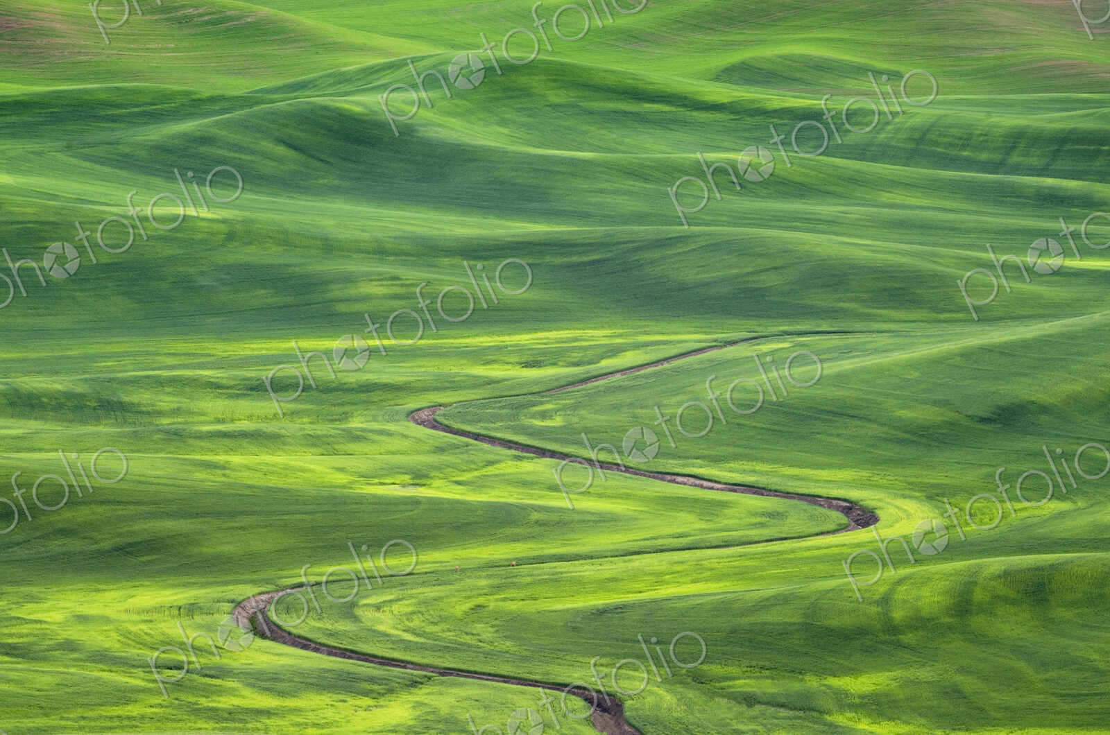 Winding irrigation ditch through rolling hills in rural landscape
