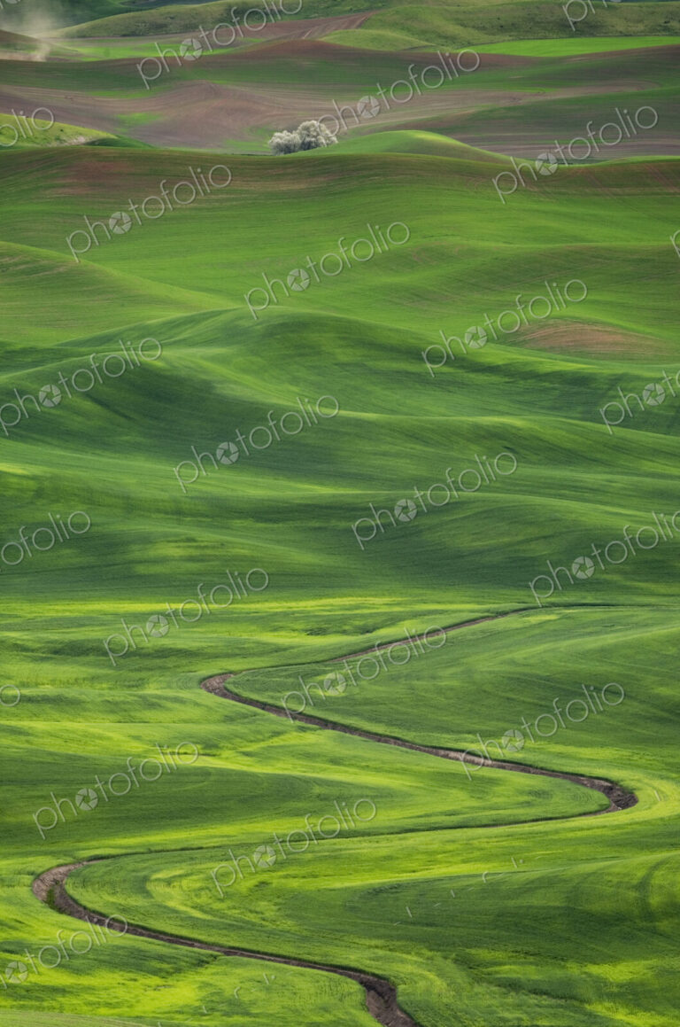 Winding irrigation ditch through rolling hills in rural landscape