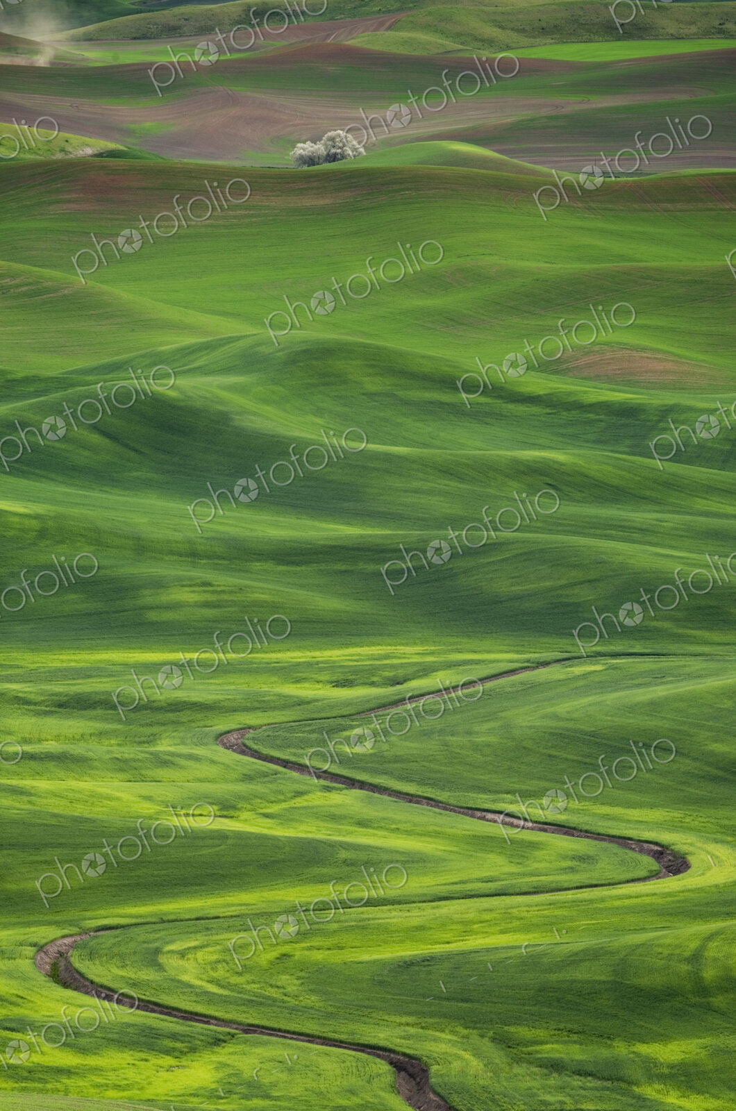 Winding irrigation ditch through rolling hills in rural landscape