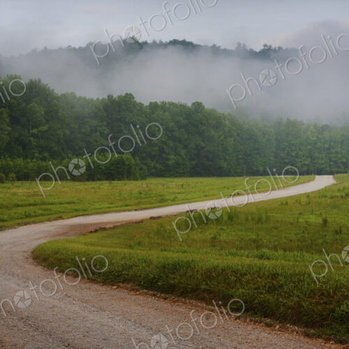 Winding rural dirt road through a woodland covered in fog in Tennessee. Winding rural dirt road through a woodland covered in fog in Tennessee.
