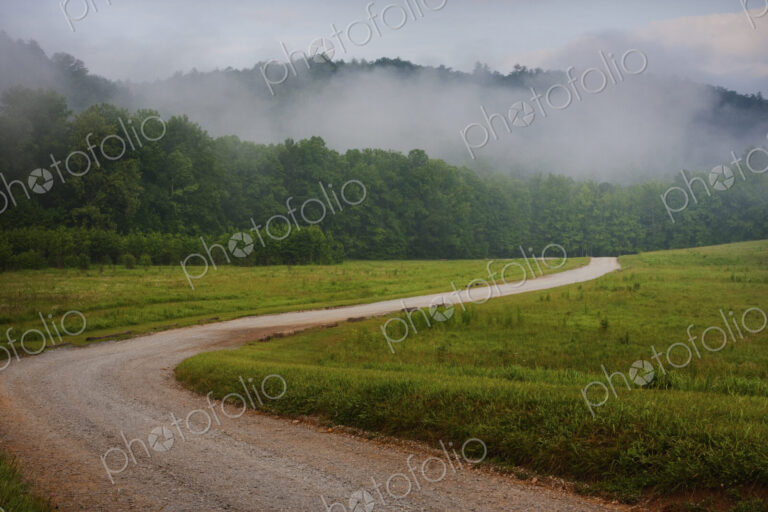 Winding rural dirt road through a woodland covered in fog in Tennessee.