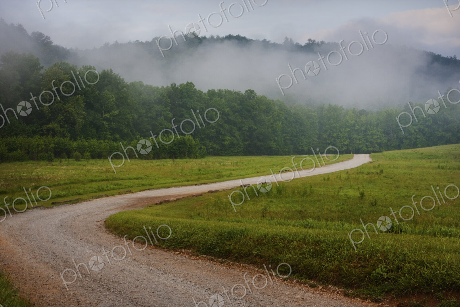 Winding rural dirt road through a woodland covered in fog in Tennessee.