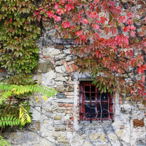 Window in Old Brick and Stone Cottage Window in Old Brick and Stone Cottage