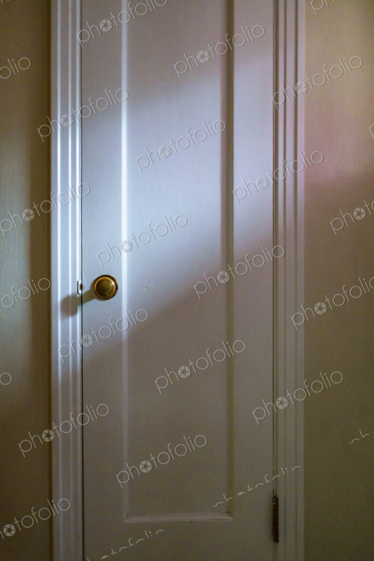 Window light on wooden interior door