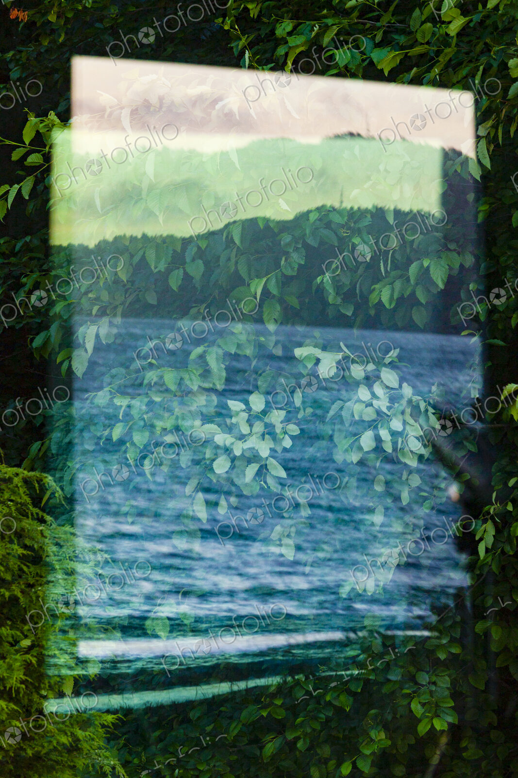 Window reflection of the forest, mountains and moving water.