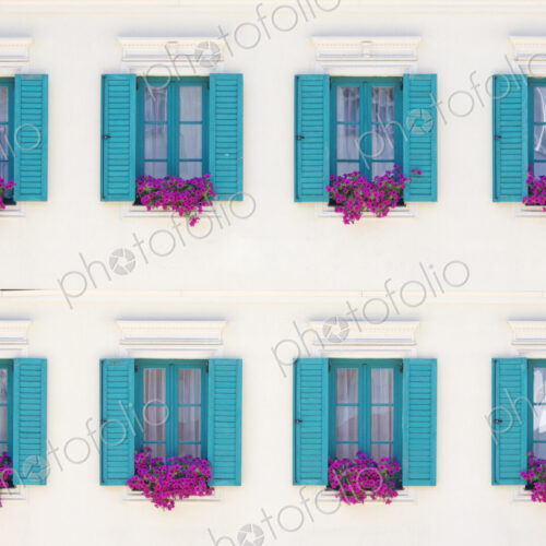 Windows and Window Boxes Windows and Window Boxes