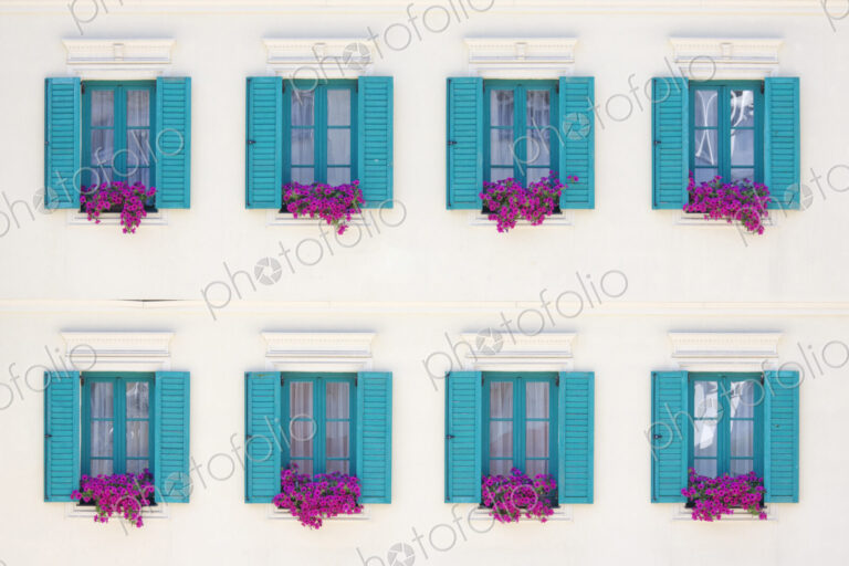 Windows and Window Boxes