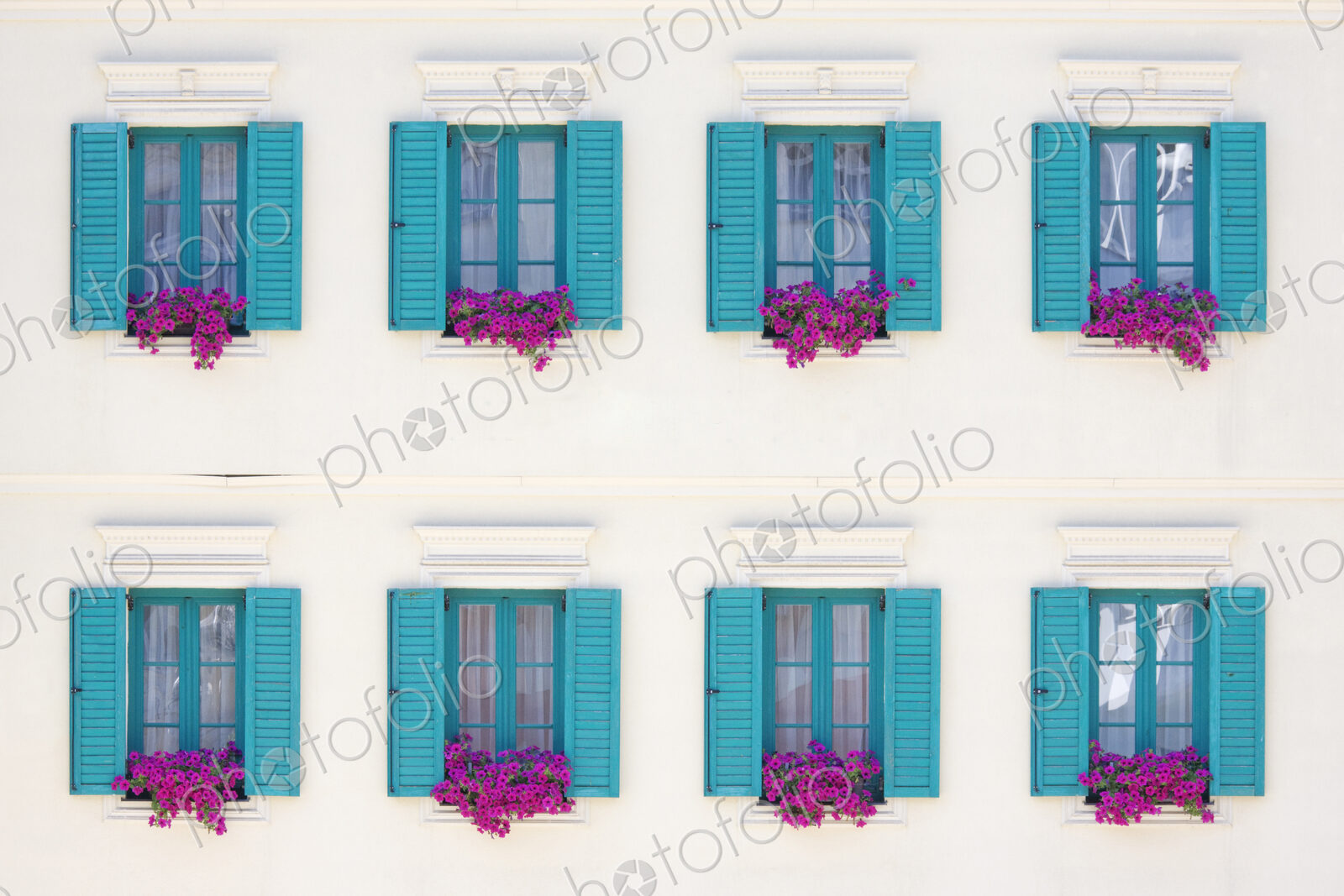 Windows and Window Boxes