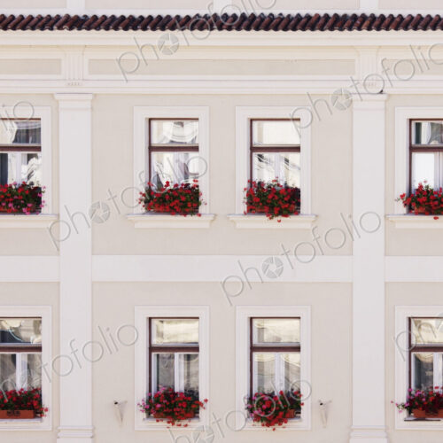 Windows and Window Boxes Windows and Window Boxes