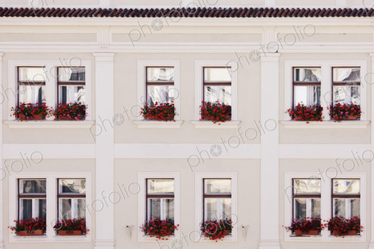 Windows and Window Boxes