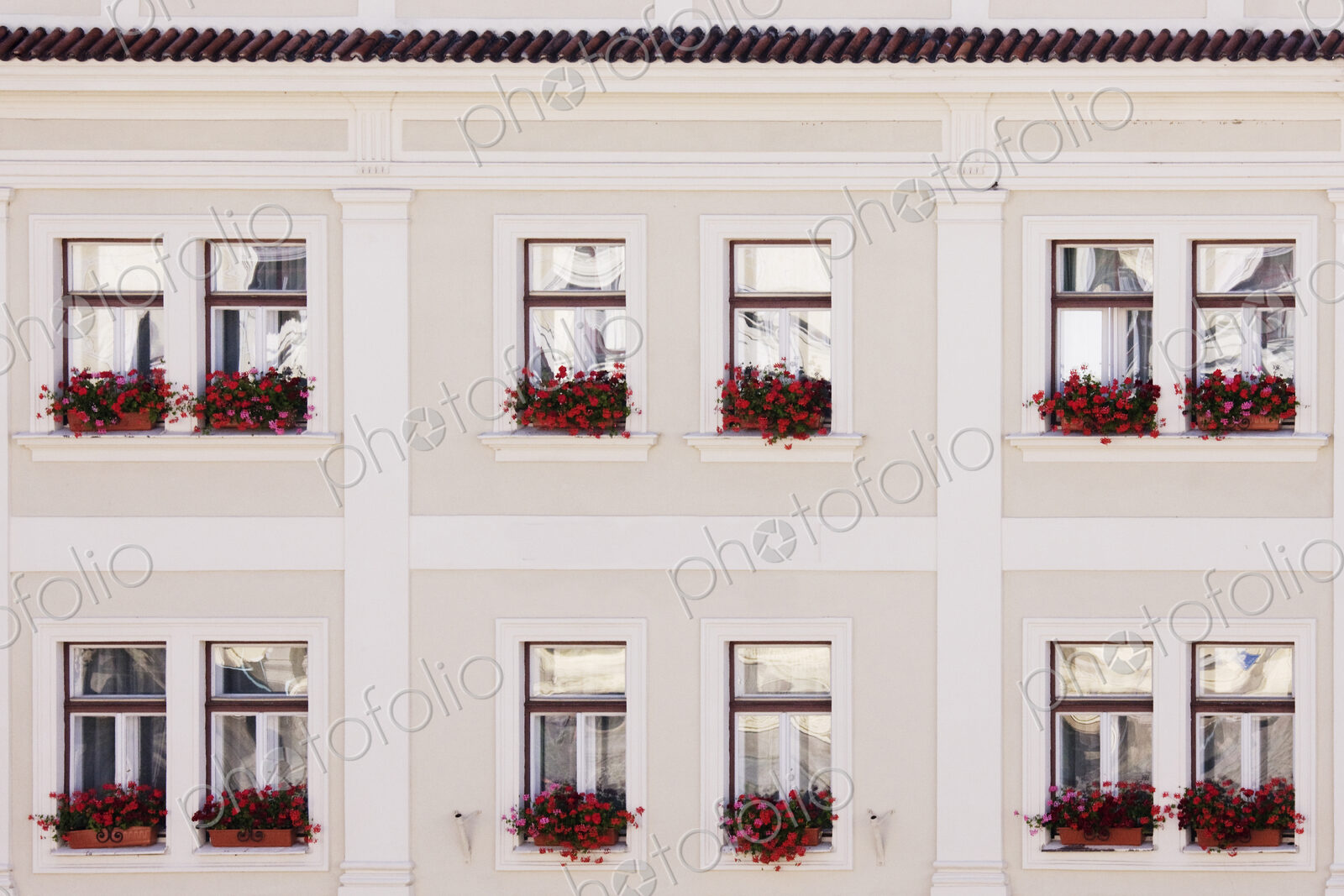 Windows and Window Boxes