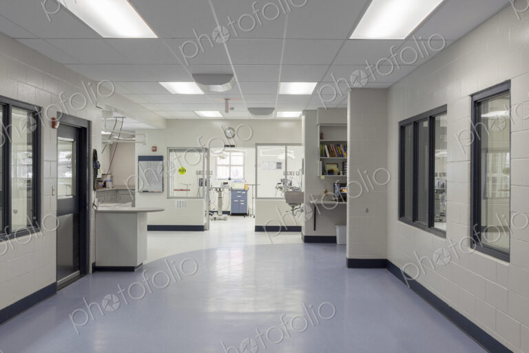 Windows and doors in empty animal shelter