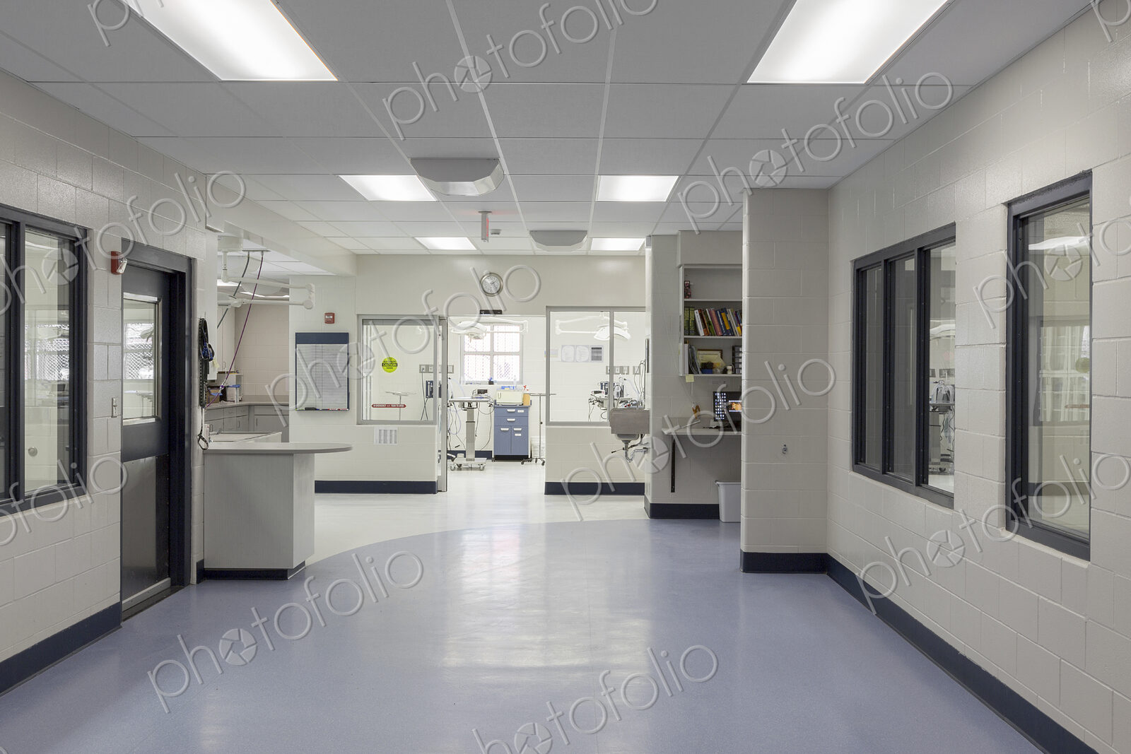 Windows and doors in empty animal shelter