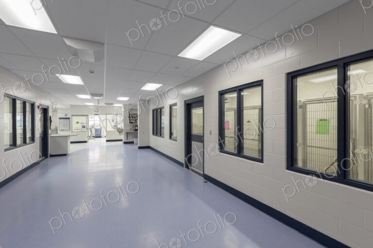 Windows and doors in empty animal shelter