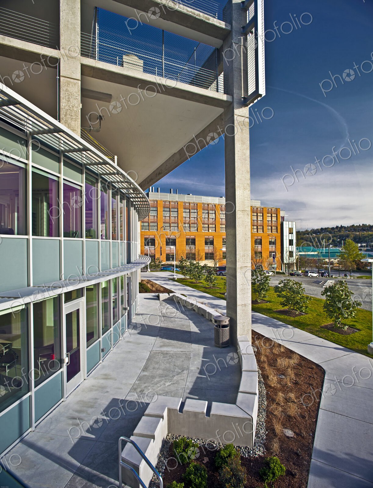 Windows in a Modern Office Building