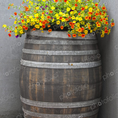 Wine Barrel Planter