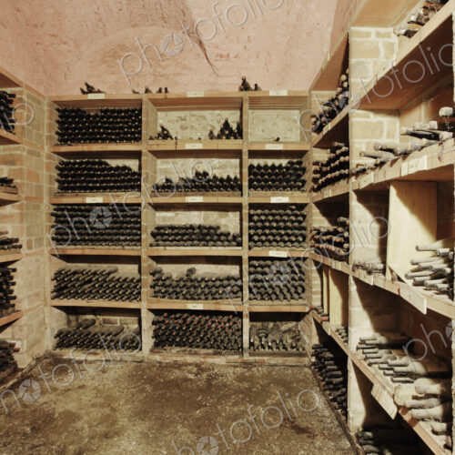 Wine Cellar