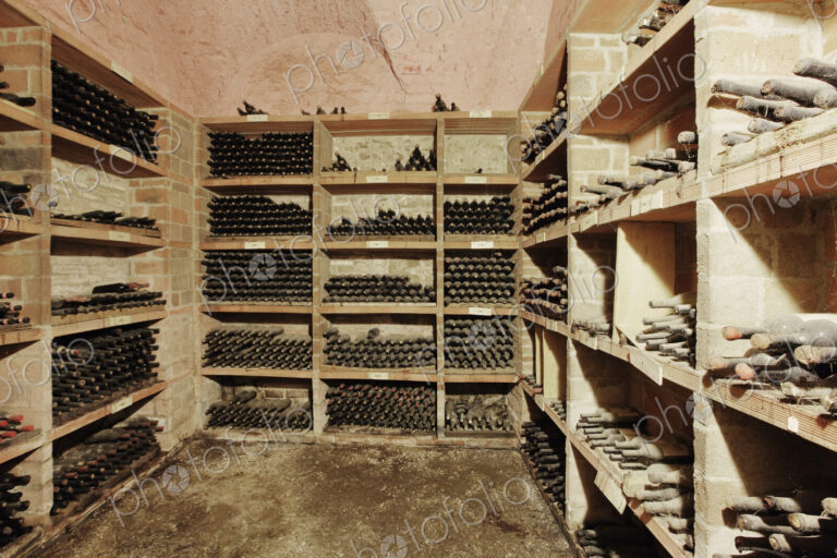 Wine Cellar