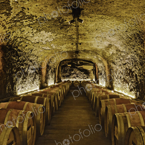 Wine barrels in cave cellar Wine barrels in cave cellar