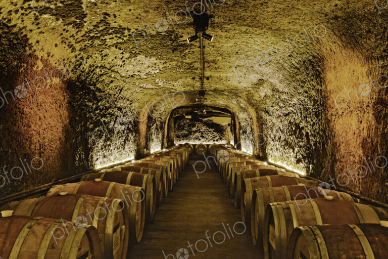 Wine barrels in cave cellar