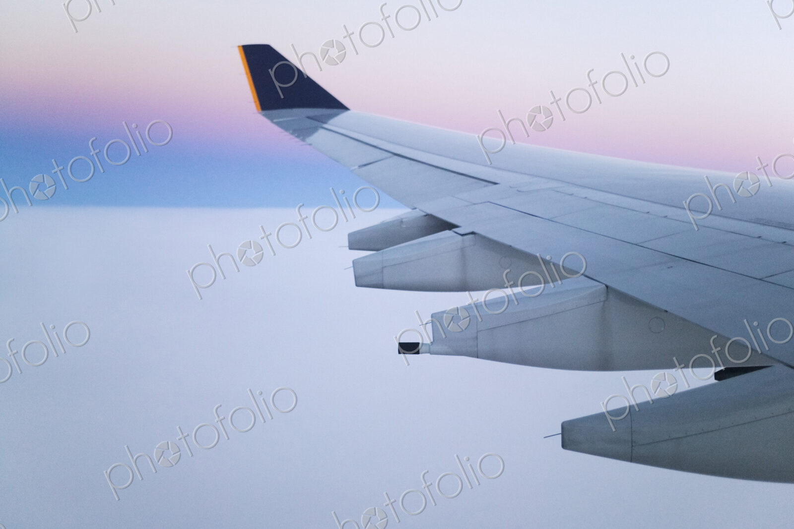 Wing and Engines of Jet in Flight