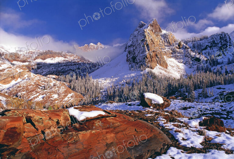 Winter in Cottonwood Canyon in the mountains of the Wasatch Range. Pine forests in…