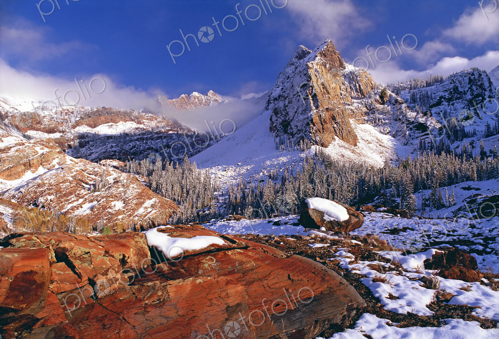 Winter in Cottonwood Canyon in the mountains of the Wasatch Range. Pine forests in…