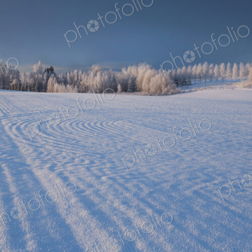 Winter landscape, pattern of ridges on a snow-covered field made by farm machinery…