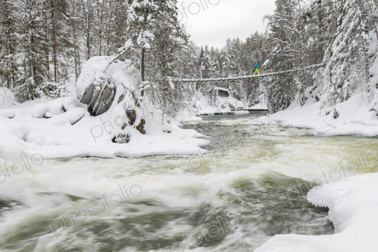 Winter landscape with rapid in forest with snow-covered trees.