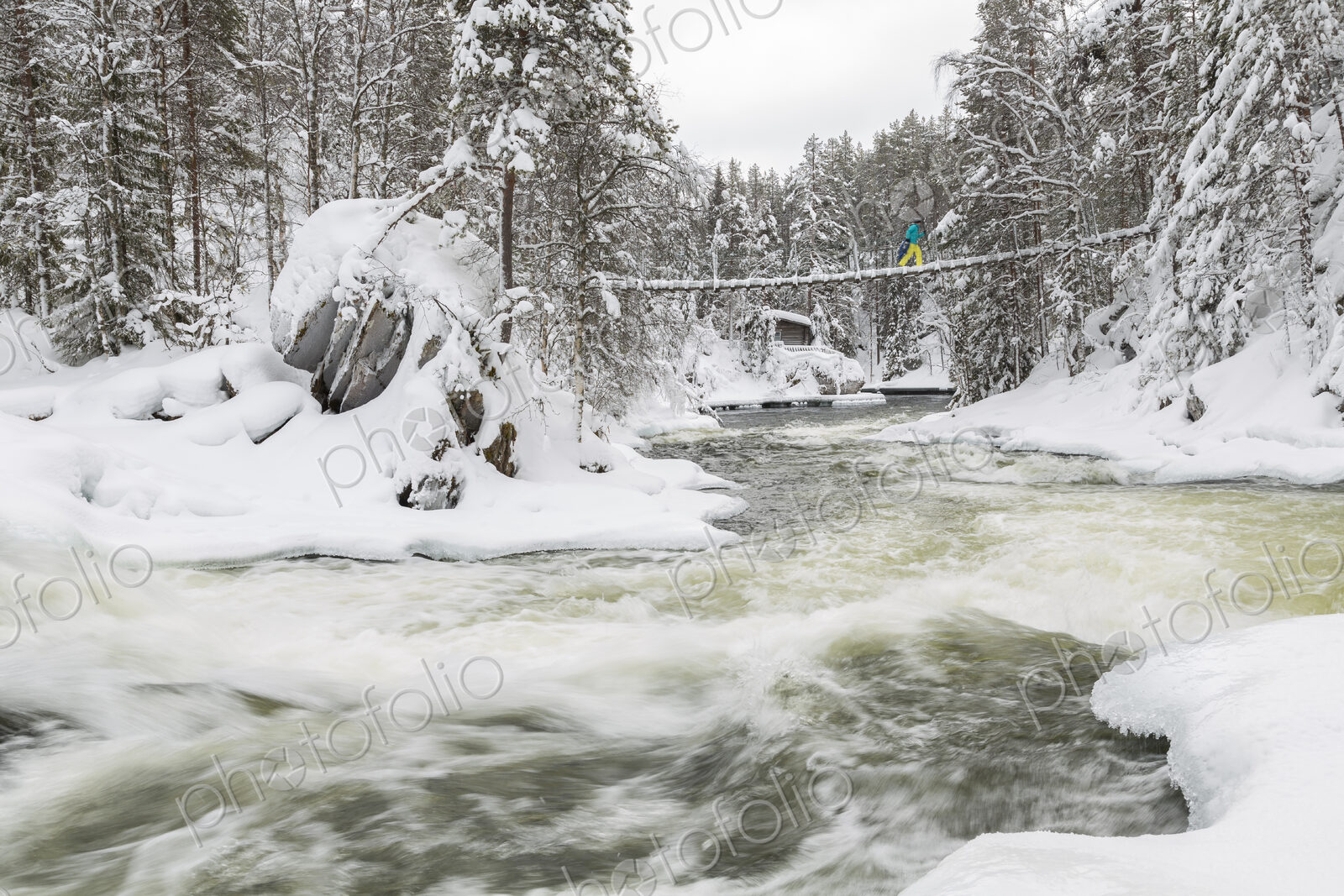 Winter landscape with rapid in forest with snow-covered trees.