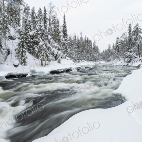 Winter landscape with rapid in forest with snow-covered trees. Winter landscape with rapid in forest with snow-covered trees.