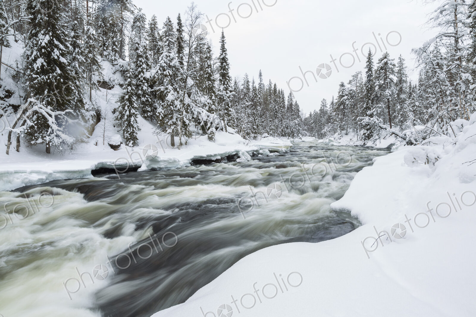 Winter landscape with rapid in forest with snow-covered trees.