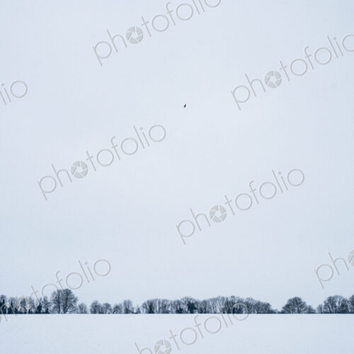 Winter landscape with snow-covered fields and line of trees in the distance. Winter landscape with snow-covered fields and line of trees in the distance.