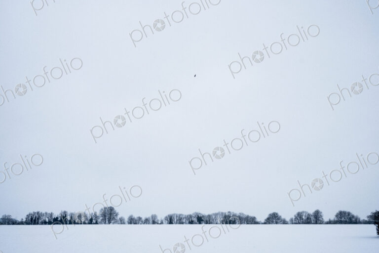 Winter landscape with snow-covered fields and line of trees in the distance.