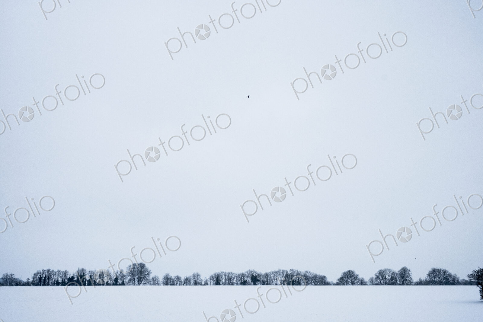 Winter landscape with snow-covered fields and line of trees in the distance.