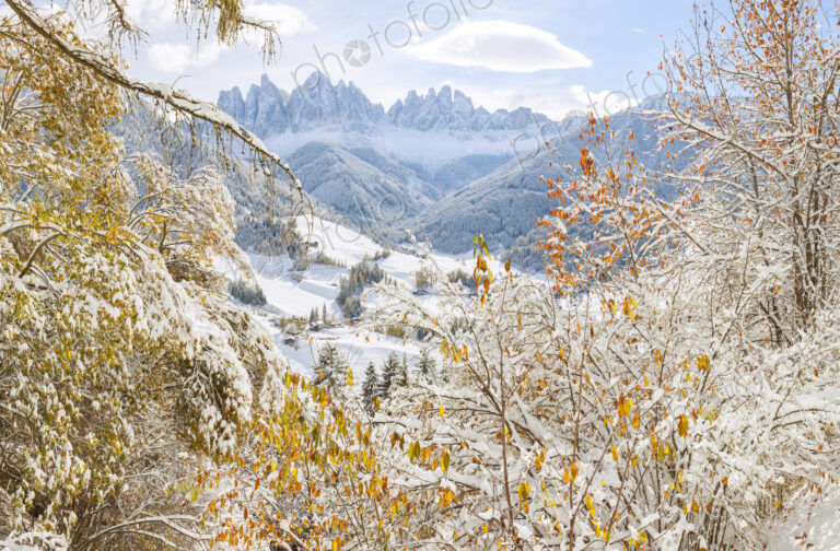 Winter landscape with valley, forest and snow-capped mountains.
