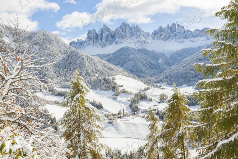 Winter landscape with valley, forest and snow-capped mountains.