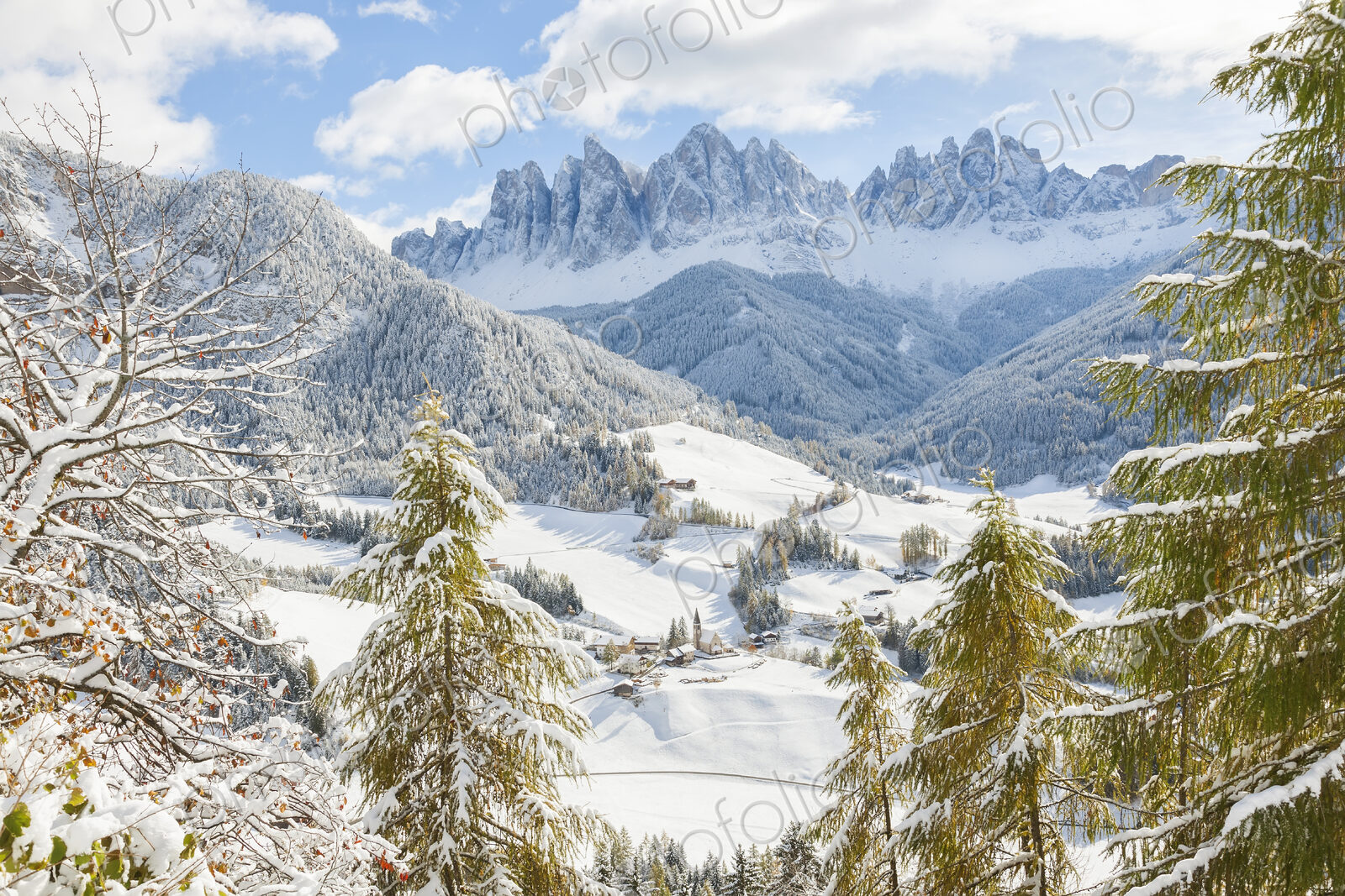 Winter landscape with valley, forest and snow-capped mountains.