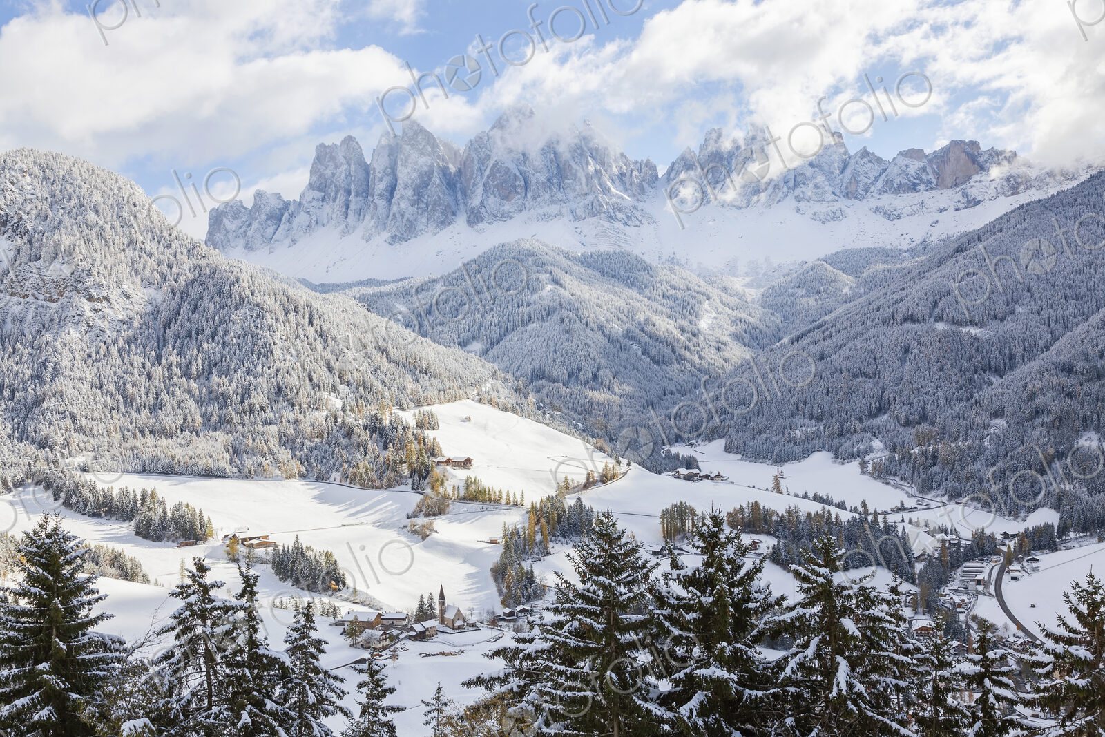 Winter landscape with valley, forest and snow-capped mountains.