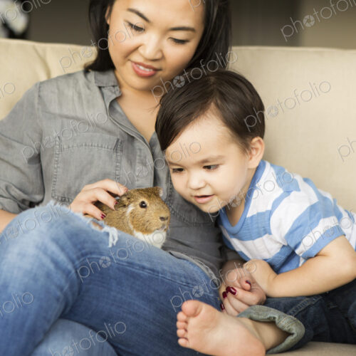 Woman and child stroking a guinea pig Woman and child stroking a guinea pig