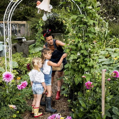 Woman and two girls standing underneath arch in a garden, picking green beans. Woman and two girls standing underneath arch in a garden, picking green beans.